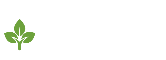 Verselia Logo
